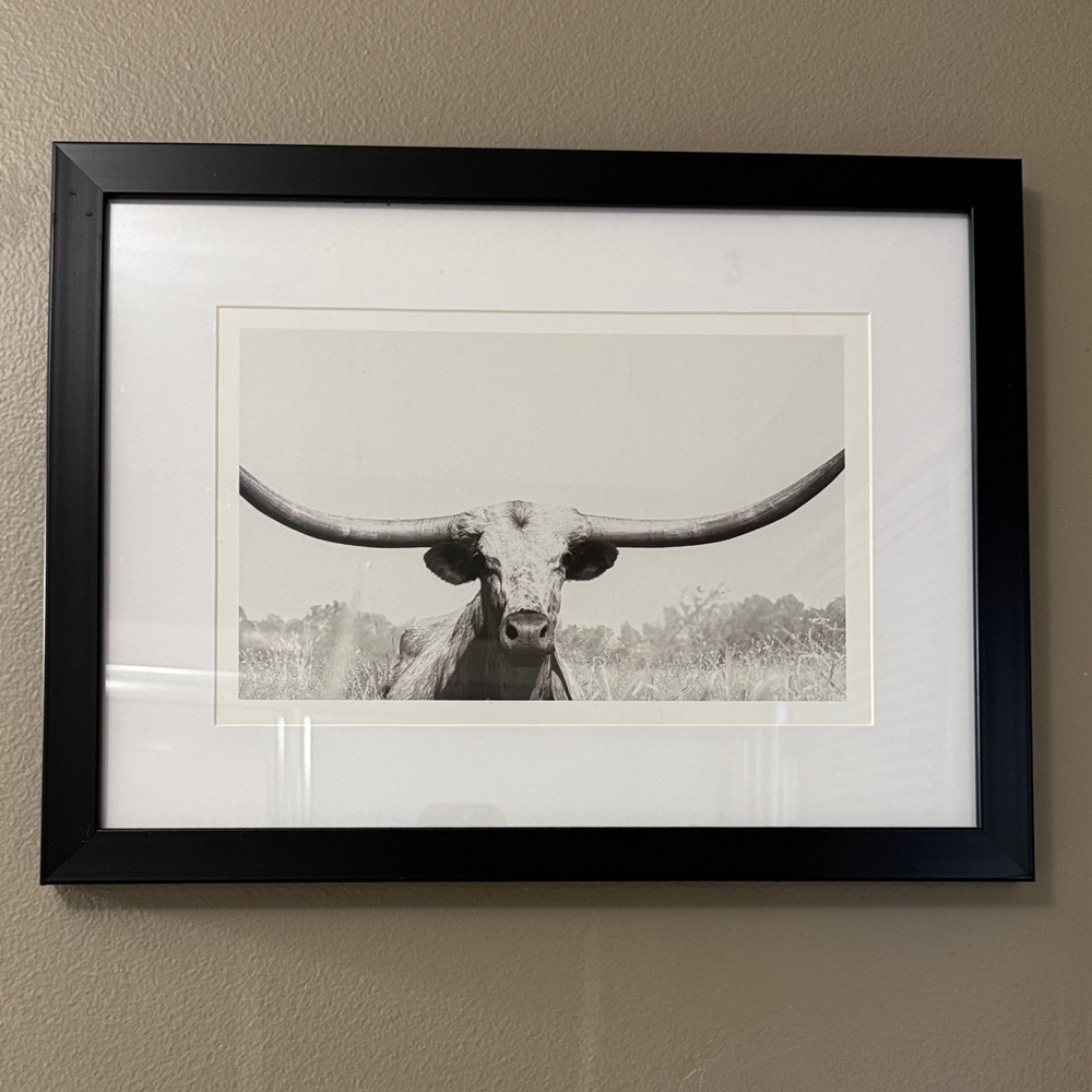 Framed Longhorn Wall Art